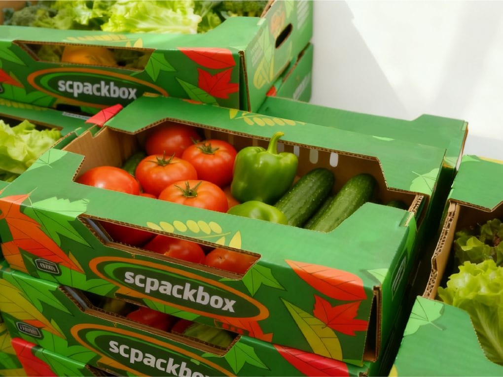Fresh vegetables in green SC Pack Box for grocery storage and delivery.