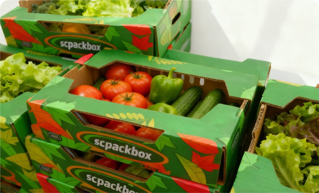 Fresh organic tomatoes, cucumbers, and green peppers in eco-friendly packing boxes.