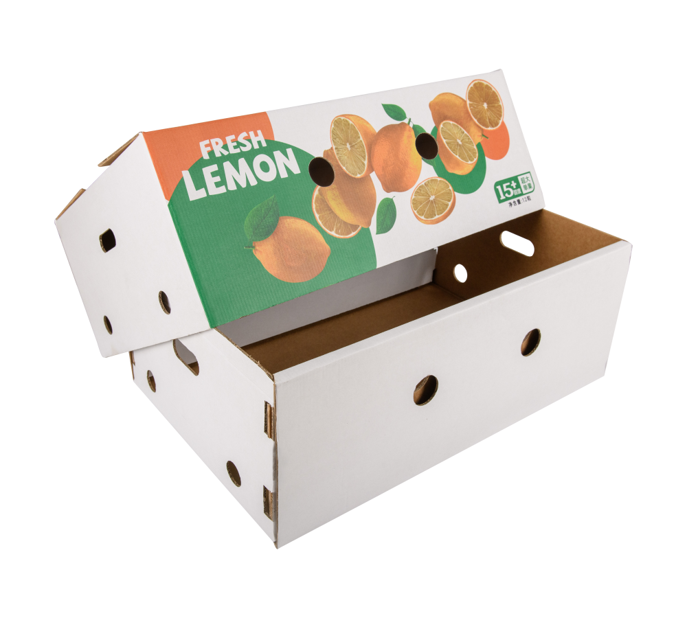 produce carton box supplier 20